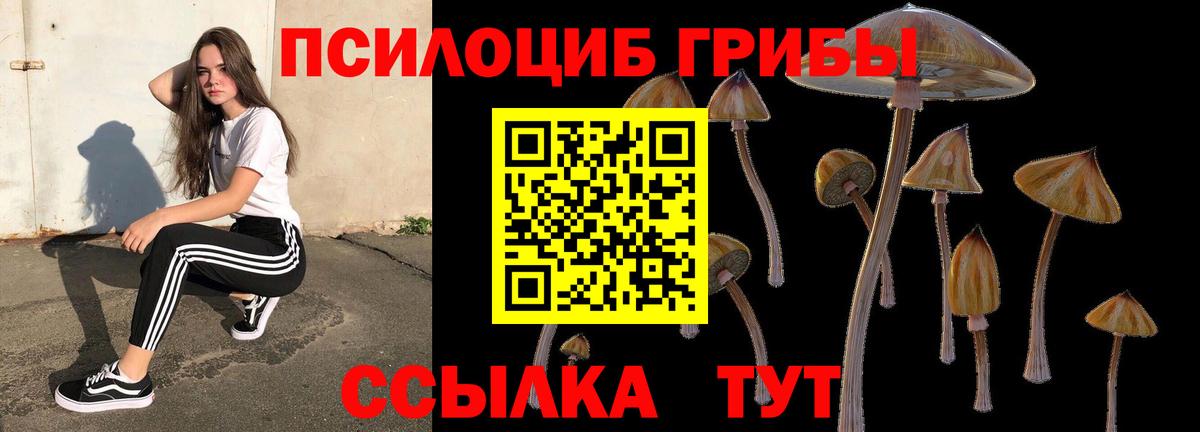 Галлюциногенные грибы Psilocybe  Галлюциногенные грибы прущие грибы  наркота  Вход с VPN  Казань 