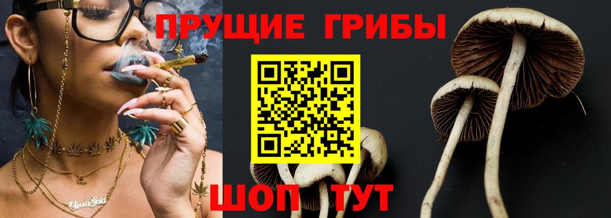 Галлюциногенные грибы мицелий Казань